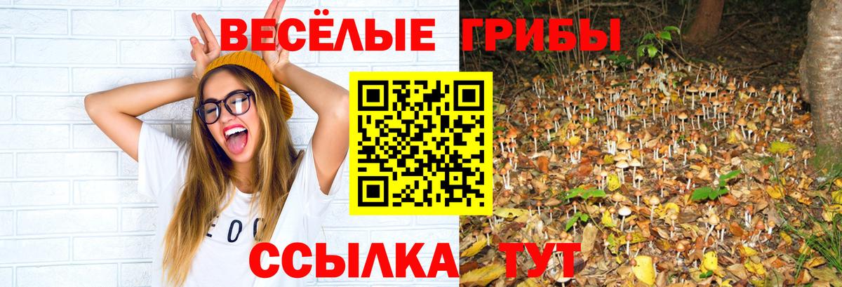 Псилоцибиновые грибы мухоморы  Вход с VPN  Галлюциногенные грибы Cubensis  Надым 